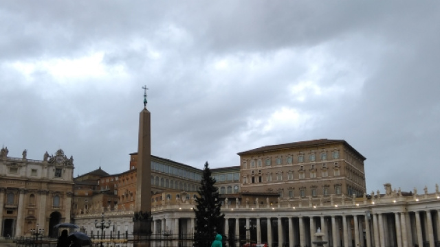 L'albero di Natale e il presepe in fase di costruzione