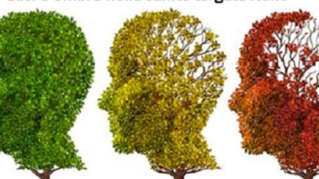 Nel nuovo millennio, un sistema di controllo decentrato e la crisi economica stanno minacciando il concetto di sanit&agrave; pubblica in Italia.