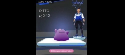 Pok&eacute;mon GO: esto ocurre si utilizas a Ditto en un gimnasio pok&eacute;mon