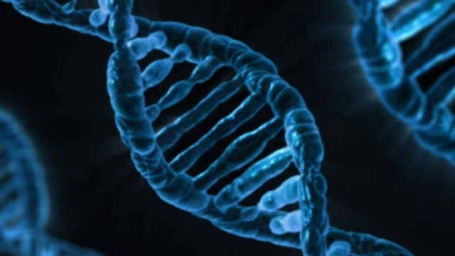 Nuove scoperte sul DNA - un.org