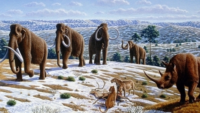 L'anomala attivit&agrave; minima solare preoccupa anche la Nasa ma esiste un pericolo di miniglaciazione?