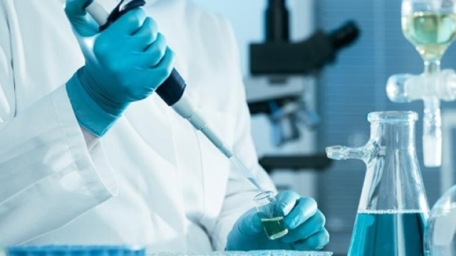 Related Keywords & Suggestions for laboratorio - keywordsuggest.org