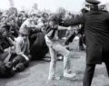 Should an inquiry be reopened on the 'battle of Orgreave'