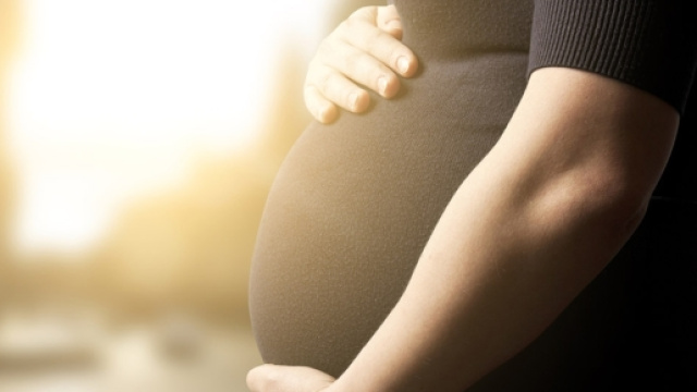 Bologna, donna incinta trovata morta nel suo letto