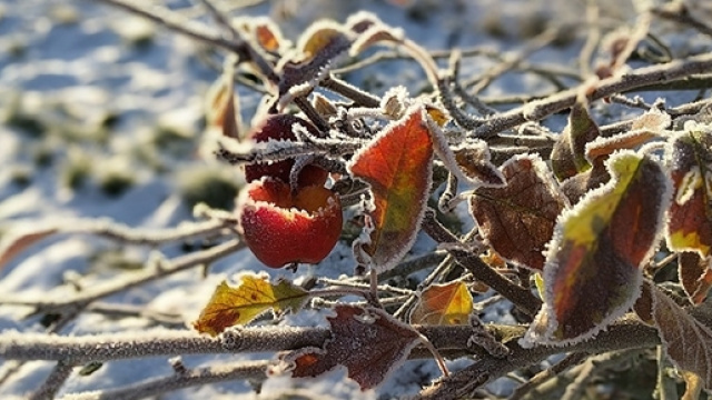 Previsioni del tempo per il Ponte dell'Immacolata