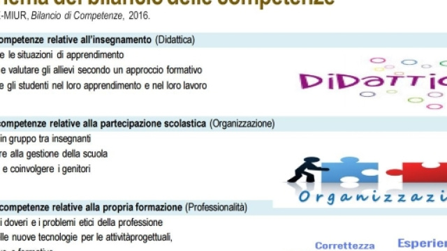 Schema del Bilancio delle Competenze 2016