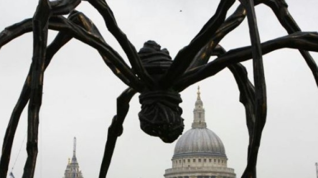 Charlotte &egrave; il nome del ragno che impazza sul web