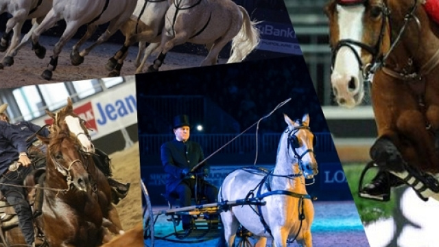 Fieracavalli Verona 2016: info utili. orari, biglietti e prezzi - Foto da gomypass -