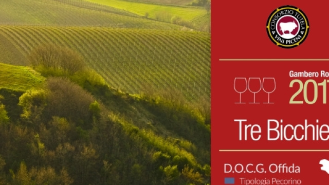Offida Pecorino won the Three Glasses Gambero Rosso 2017 - consorziovinipiceni.com