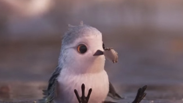 Piper: il cortometraggio Pixar sul coraggio di affrontare la vita.