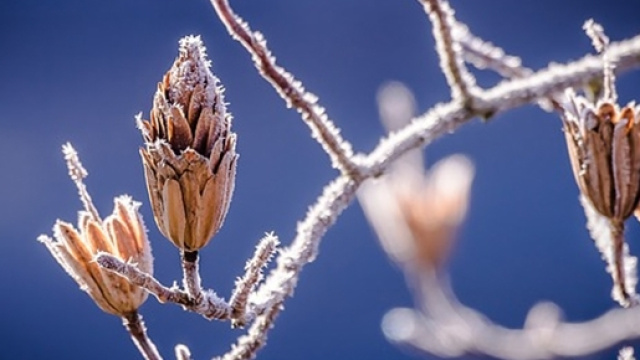 Previsioni del tempo per l'inverno