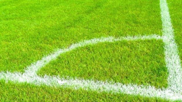 Pronostici dodicesima giornata serie A