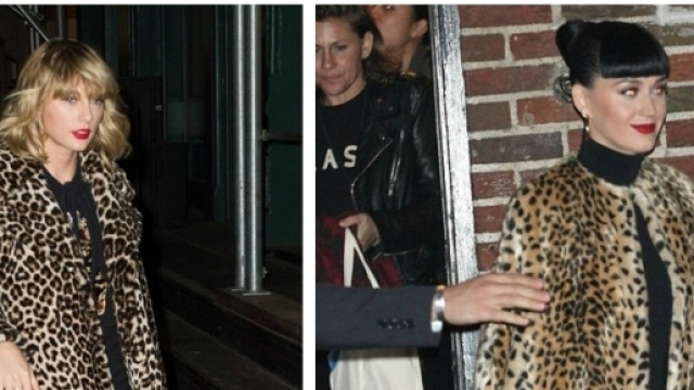 Taylor Swift e Katy Perry amano il maculato