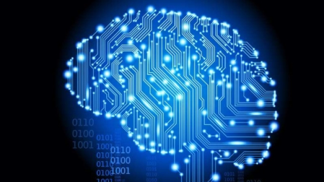 Thomas Ray et le programme Tierra : l'ambition cr&eacute;atrice | Dossier - futura-sciences.com