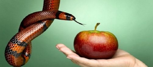 9 fatos curiosos sobre os infi&eacute;is.