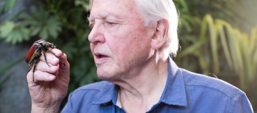 Sir David Attenborough- Back Again