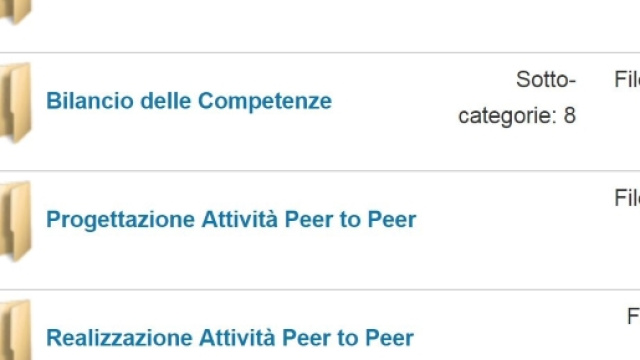Bilancio delle competenze gi&agrave; compilati