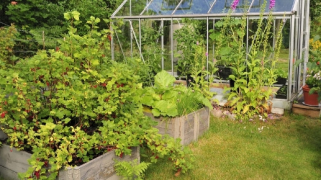 C'est vert, je peux le faire - (page 2) - La vie en vert - ek.la