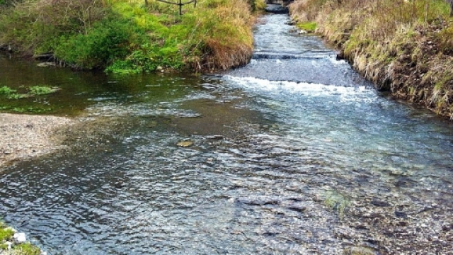 Panoramio - Photo of Fiume Sarno (sorgente) - panoramio.com