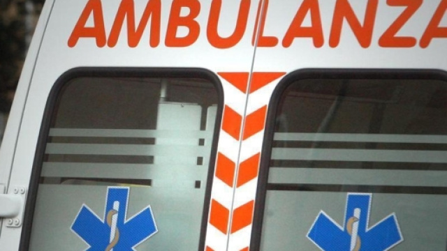 Battipaglia, anziano sbranato da due cani.