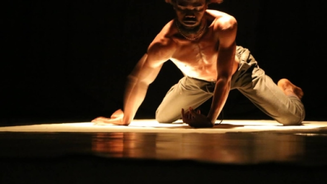 Le danseur-Chor&eacute;graphe-Performeur Snake