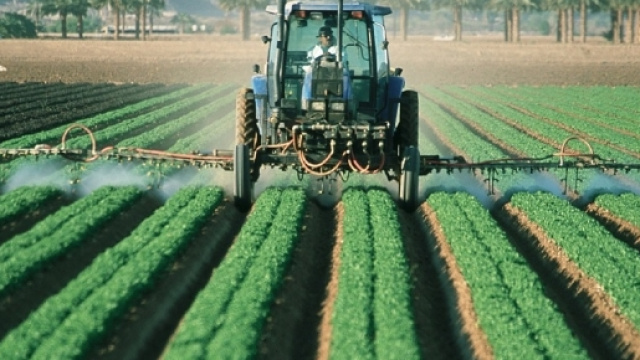 Modalit&agrave; di rilascio e di rinnovo del patentino - Caratteristiche dei prodotti fitosanitari.