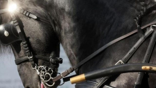 Orari e diretta tv Jumping Verona 2016 - Longines FEI World Cup - lastampa.it