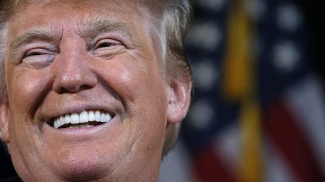 The Wackiest Donald Trump Conspiracy Theory Yet | New Republic - newrepublic.com