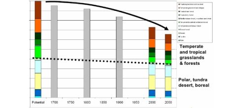 Biodiversity Loss in Thailand - slideshare.net