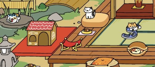 Cat game Neko Atsume set to become live-action film - gamezebo.com