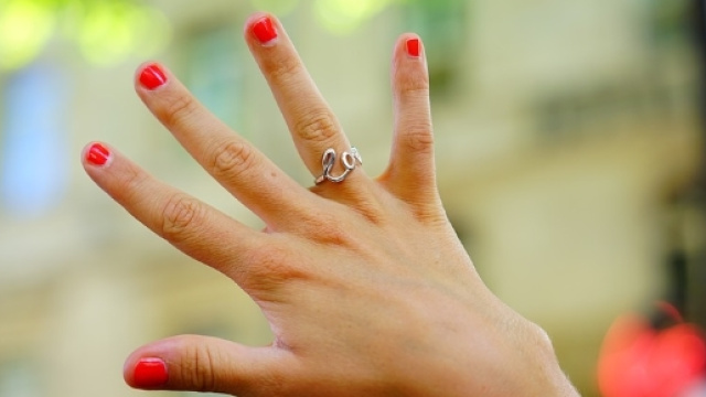 Il calciatore Lubomir Vajecka, fa la sua proposta di matrimonio durante una partita