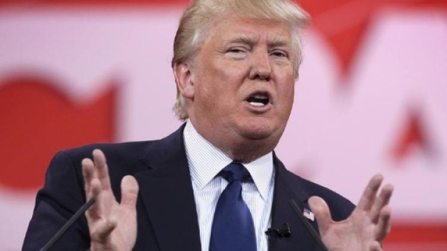 Usa: alle primarie dei repubblicani irrompe Trump - Termometro ... - termometropolitico.it