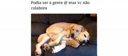 Podia ser a gente mas voc&ecirc; n&atilde;o colabora.