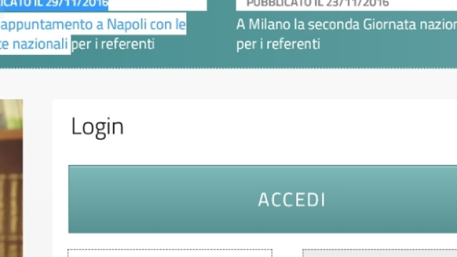 Dettagli sulla formazione online su Indire