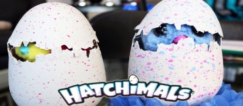 Cada a&ntilde;o salen por estas fechas juguetes nuevos para triunfar entre los ni&ntilde;os