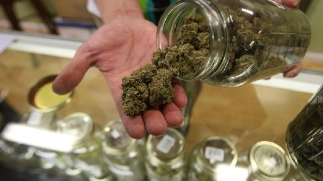 La cannabis legalizzata crea sempre pi&ugrave; profitti - it.businessinsider