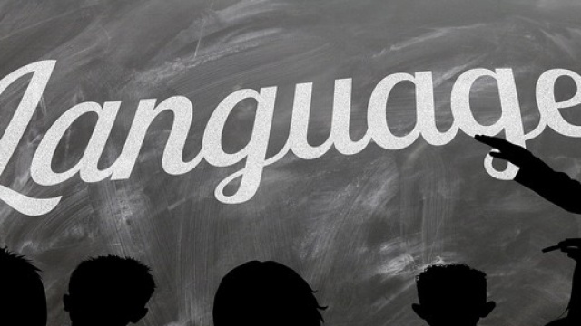 Selezione pedagogista e psicologo