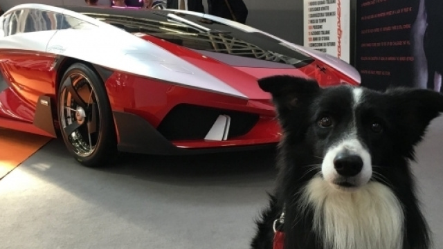Tante supercar esposte in questa edizione del Motor Show.