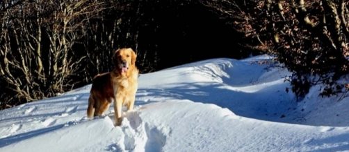 Photo via Flickr by Franco Vannini/CC BY 2.0