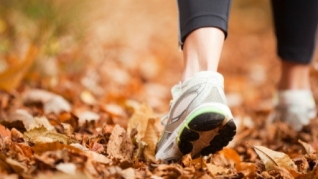 L'attivit&agrave; fisica per prevenire molte malattie