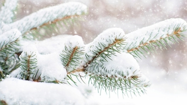 Previsioni del tempo per la seconda met&agrave; di dicembre