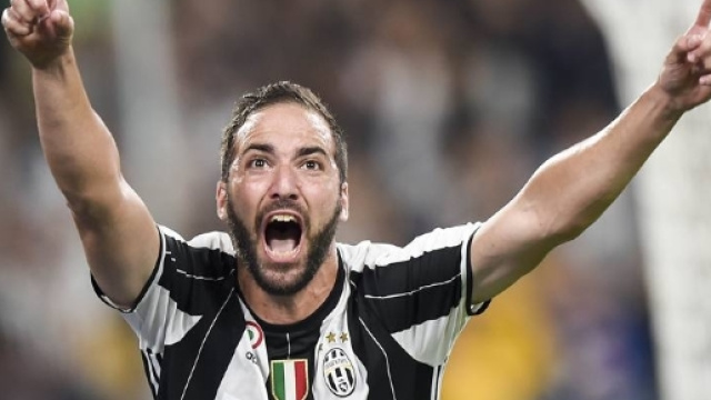 Higuain Tutti I Gol Al Napoli - thesavannahbananas.com