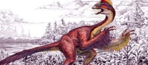 hallan plumas de dinosaurio y se c