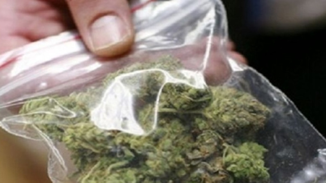 Legalizzando la marijuana non aumenta il consumo tra i giovani: il caso americano