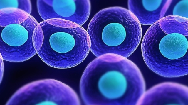 Lifting con Cellule Staminali - Dr Gennai - gennaichirurgia.it