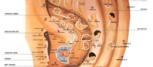 Mapa de acupuntura auricular, com ilustra&ccedil;&otilde;es dos pontos de acupuntura