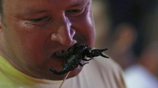 Insetti da mangiare in Thailandia: dall'allevamento alla tavola ... - panorama.it