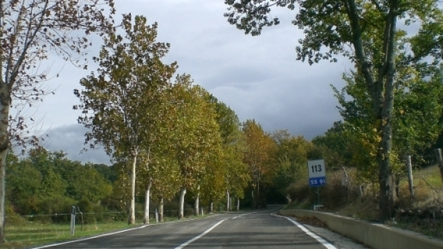 Le strade del pianeta causano deforestazione e limitazione delle aree naturali
