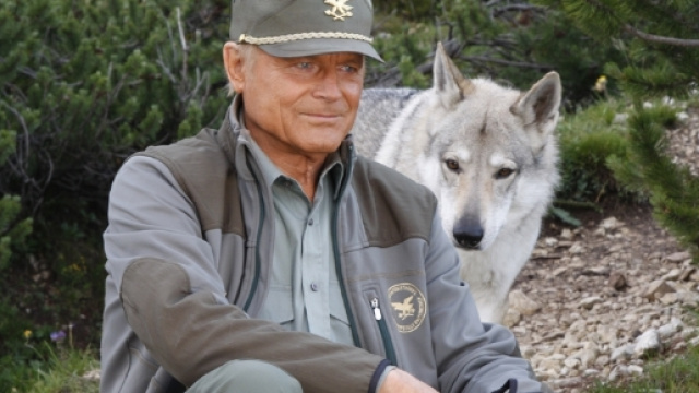 Terence Hill torna su Rai1 con la terza stagione di Un passo dal ... - digital-news.it
