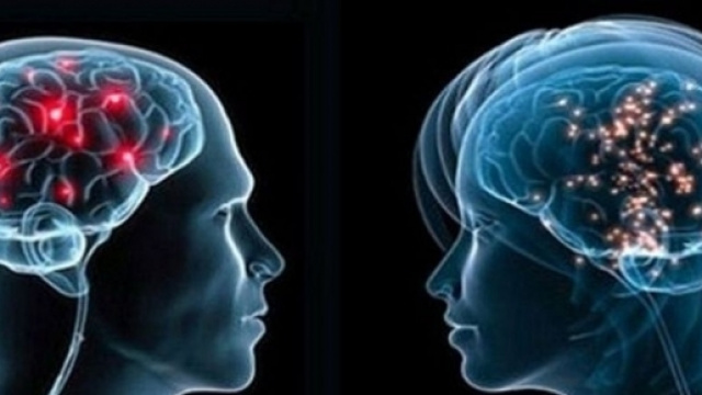 Intelligenza maschile e femminile: i luoghi comuni e la scienza - brindisireport.it